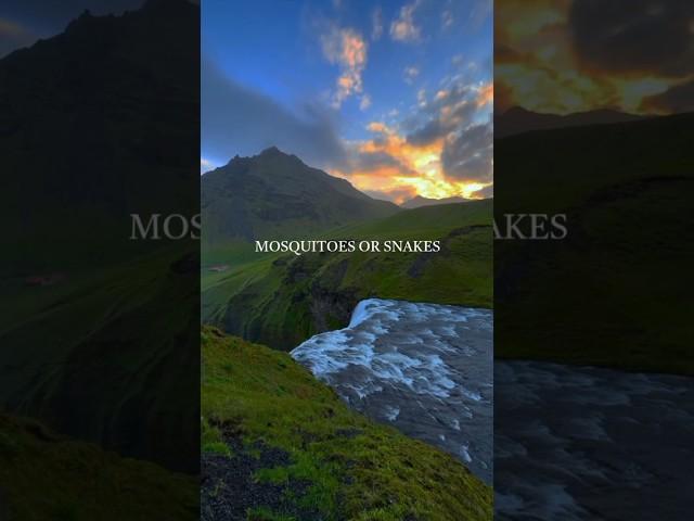 This is the only country in the world with no mosquitoes or snakes #iceland #wisdom #motivation