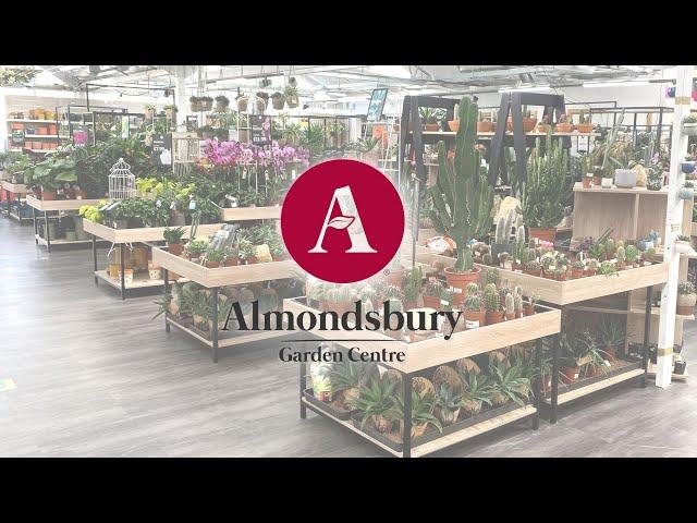 Almondsbury Garden Centre Houseplant Table Area by Stagecraft Display Ltd