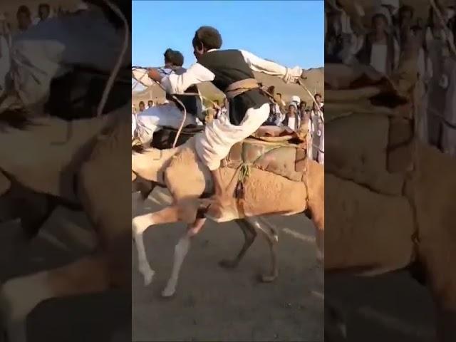 Camel race in Sudan