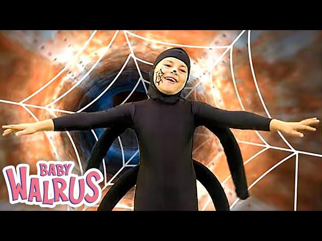 Incy Wincy Spider | Nursery Rhymes, Kids & Baby Songs by Baby Walrus