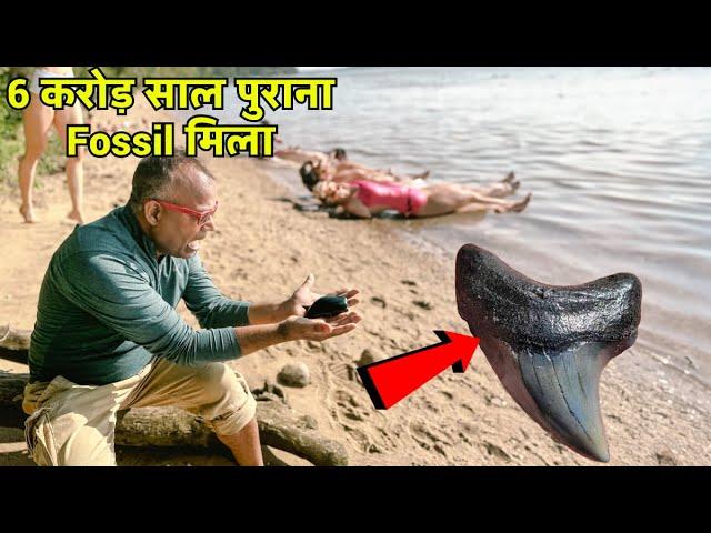 अमेरिका में जीवाश्म की खोज Shart teeth Discovery vlog APNA AMERICA