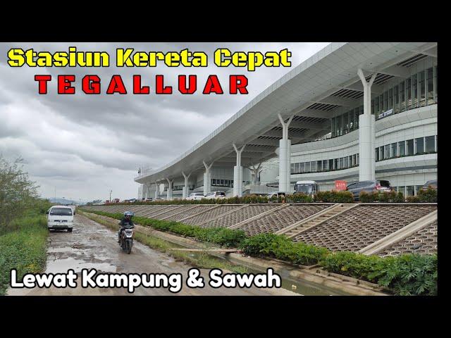 Rute Stasiun Kereta Cepat Tegalluar, Lewat Kampung dan Sawah