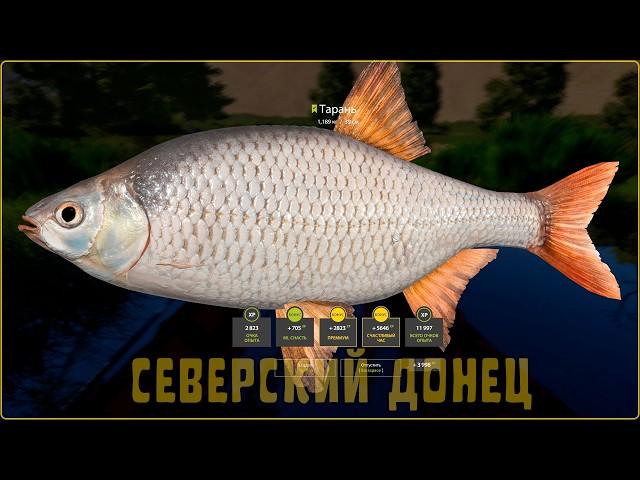 РР4 Фарм Точка клёва - Северский Донец - Тарань, Голавль - Русская Рыбалка 4
