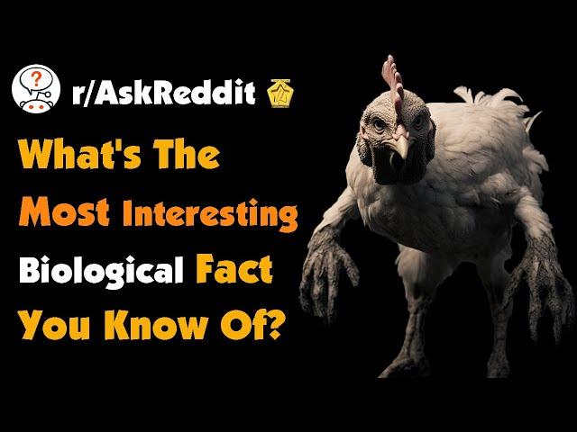 What's The Most Interesting Biological Fact You Know Of?