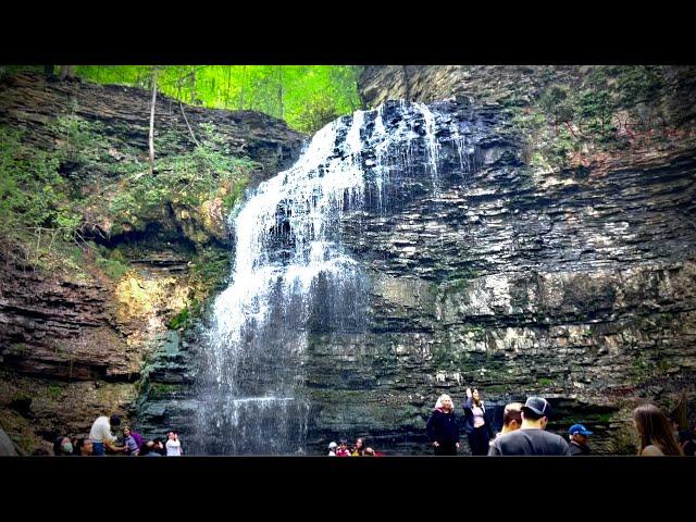 Tiffany Falls - Relaxing greenery views and side trail - Summer 2022