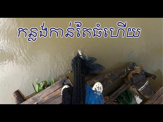 កន្លែងចាស់ នៅតែល្អលេង Amazing Traditional Cast Net Fishing | #584