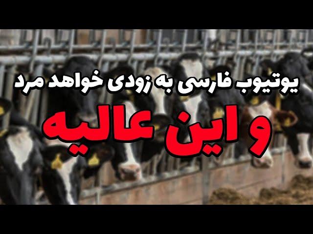 یوتیوب فارسی به زودی خواهد مرد و این خیلی خوبه چه اتفاقی داره میفته و چرا ایران هیچوقت درست نمیشه؟