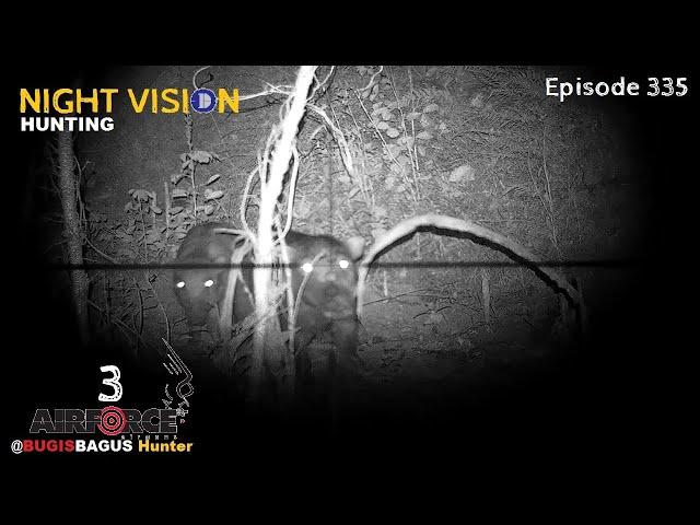 Nyanggong Babi Hutan, Ep335