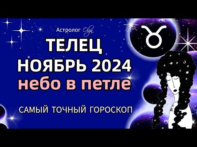 ТЕЛЕЦ - НОЯБРЬ 2024. ГОРОСКОП. Астролог Olga #olgaastrology #ноябрь #петлямарса