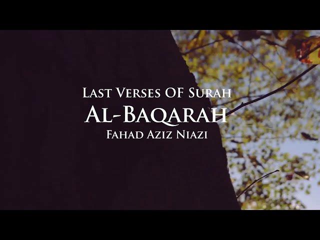 Last 2 Verses/Ayaat Surah Al-Baqarah - Fahad Aziz Niazi أواخر سورة البقرة  - ‏ فهد عزيز نيازي ￼￼￼￼￼