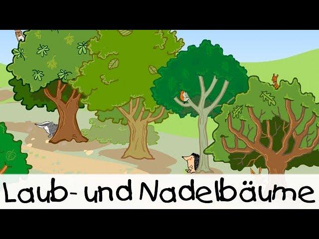  Laub- und Nadelbäume || Kinderlieder zum Lernen