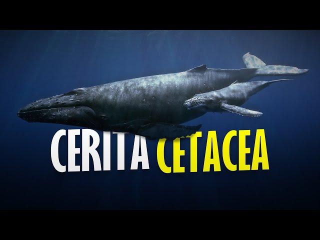 Cerita Cetacea #AlamSemenit