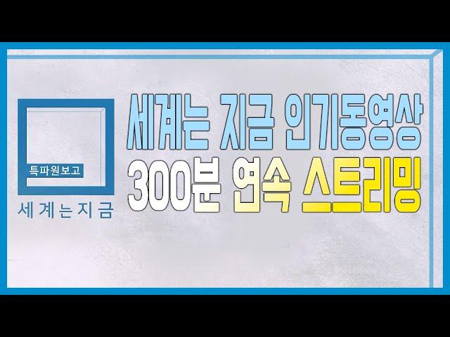 [특파원보고 세계는지금] 300회 특집 인기동영상 300분 스트리밍