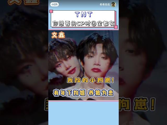 【时代少年团】你想要的CP时团全都有！#TNT时代少年团