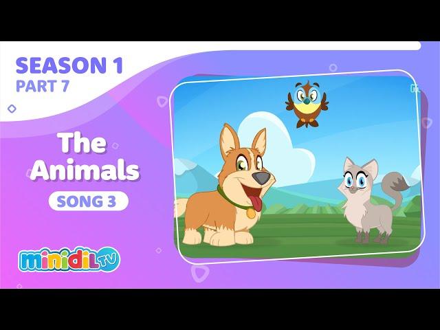 Sezon 1 - Animals Song - İngilizce Hayvan Şarkıları - İngilizce Vahşi Hayvan Şarkıları