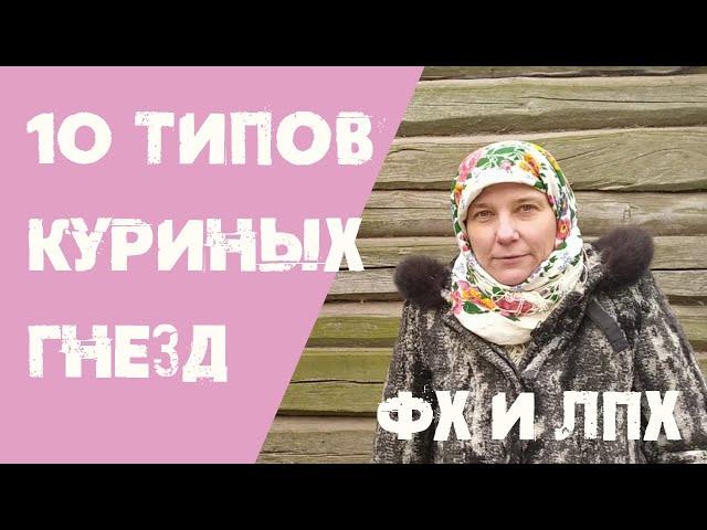 Лучшие гнезда для кур - обзор