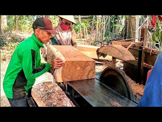 RARE ‼️BEAUTY OF TREMBESI WOOD FIBER - SAWMILL INDONESIA