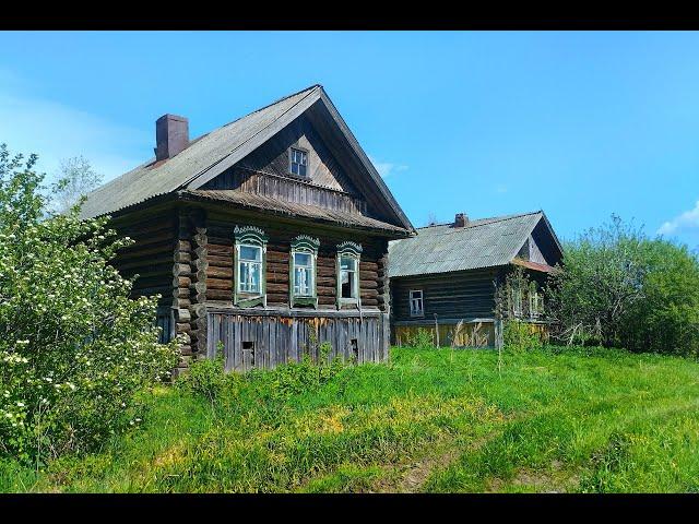 ЗАБРОШЕННАЯ ДЕРЕВНЯ с ещё хорошими БРОШЕННЫМИ ДОМАМИ. Деревня в глубинке Костромской области.