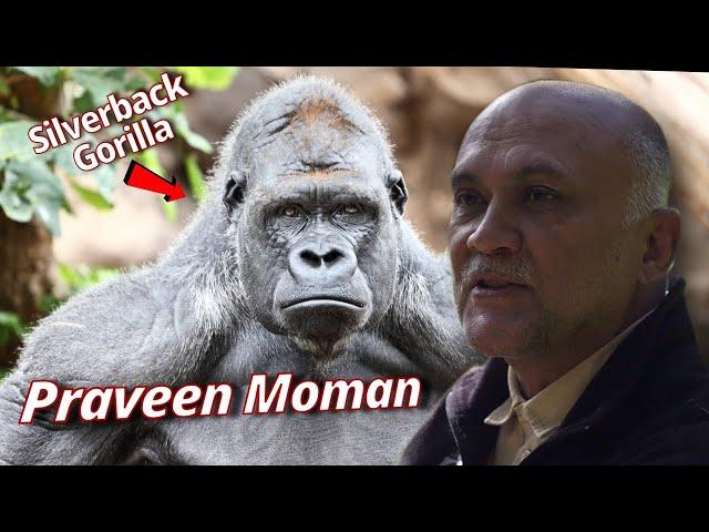 Gorilla Trekking in Rwanda with Visionary Conservationist Praveen Moman | Armchair Explorer