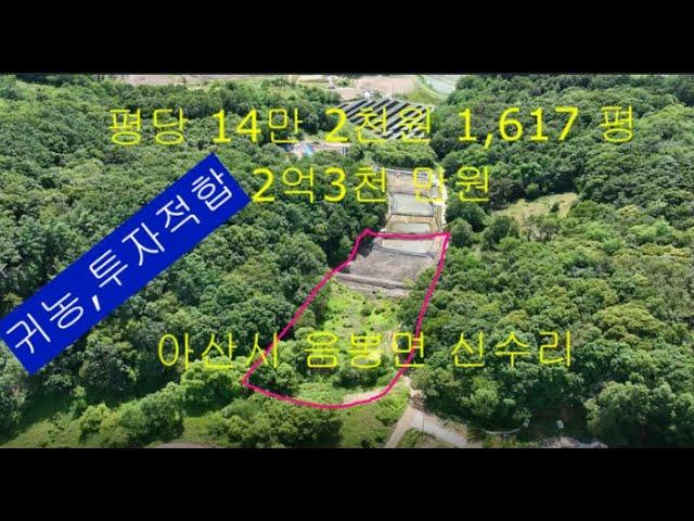 아산시 음봉면 싼땅