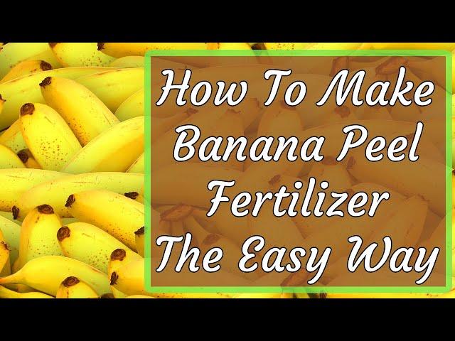 The Truth About Banana Peel Fertilizer & The Best Way To Make It