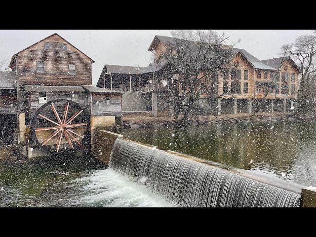 Live from a Snowy Smoky Mountains ️