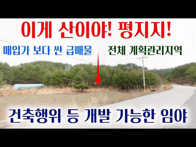 [1321][임야매매] 다시 없을 임야, 임야야 평지야!! 전체 계획관리지역에 2차선 도로가 접하고 있어 임야에서 할 수 있는 모든 개발행위가 가능한 임야매매