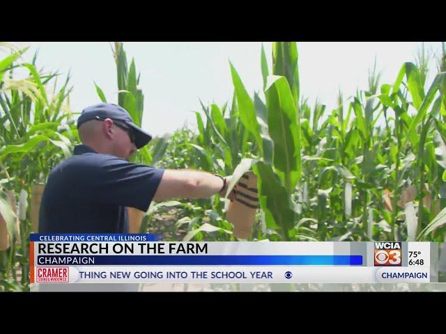 Popcorn Research at UIUC | Celebrating Central Illinois Farmers