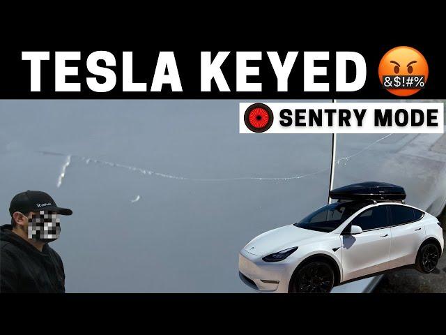 My Tesla Got Keyed 