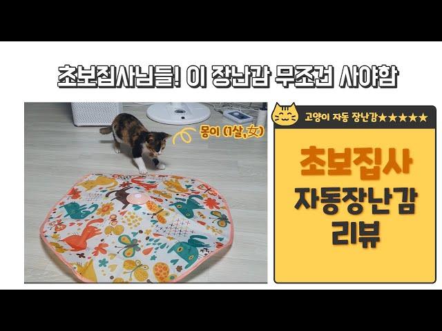 초보집사의 고양이 자동장난감 원픽!