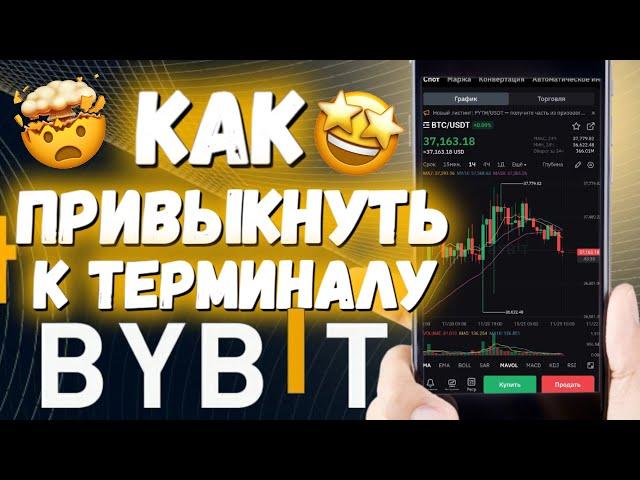 Как привыкнуть к терминалу ByBit  Как уверенно пользоваться терминалом