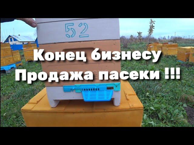 Конец бизнесу. Продажа пасеки !!!