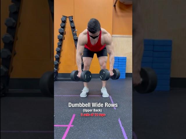 Want a Bigger Back? DO THESE Dumbbell Exercises‼️ #shorts