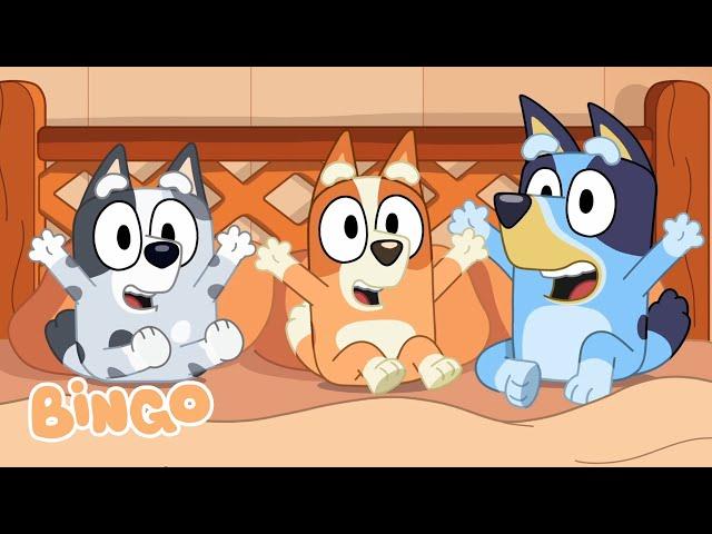 Verandah Santa with Bingo!   | Bluey Season 1 Highlight | Bingo - Official Channel