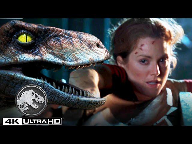 The Lost World: Jurassic Park | The Raptor Attack in 4K HDR