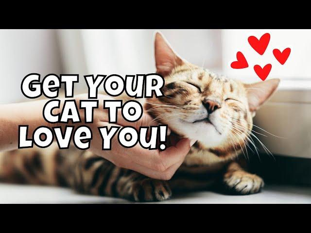 10 Scientifically Proven Ways to Get a Cat to Love You