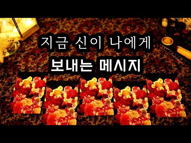 [타로] 지금 신이 보내는 메시지