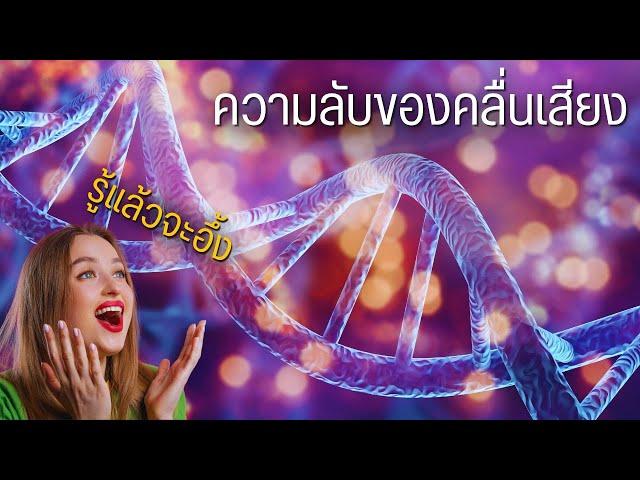 5 ความลับของคลื่นเสียง เหนือความคาดหมาย