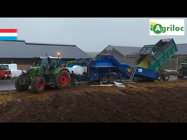 Baling maize | Fendt 728 Vario + Göweil LT Master // Claas Jaguar 940 | Luxembourg 2024