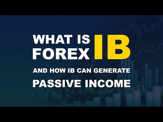 What is an IB in Forex Market?