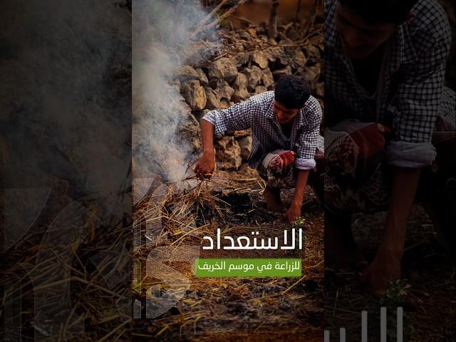 الاستعداد للزراعة في موسم الخريف بمحمية #حوف في محافظة #المهرة.