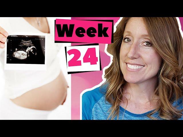 24 Weeks Pregnant and What to Expect | 24 Weeks in Months PLUS 24 Week Ultrasound.