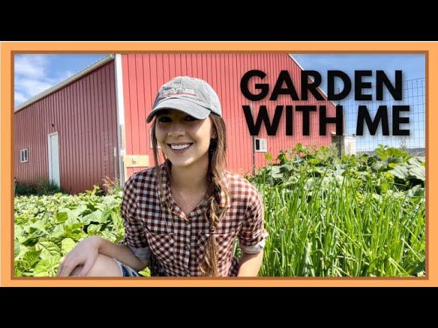 August Vegetable Garden Tour: Growing and Cooking Food In Wyoming