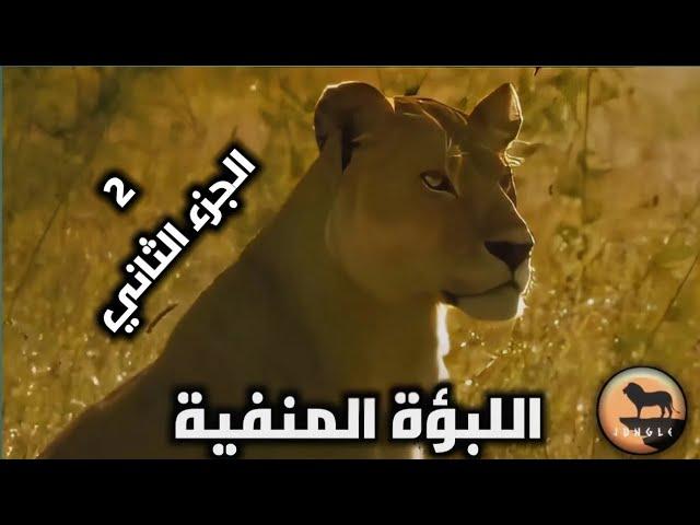 بعد طردها من الزمرة اللبؤة تحارب وحدها في البراري لحماية أشبالها هل ستنجح. دراما في عالم الحيوانات 2