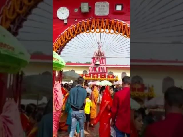 #Vidyapatidham #Mandir at #Begusarai #temple #short #viral #monetizetion #trending #beauty of #God