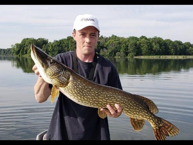 Back to Back Big Pike ~ Live Bait Bobber Fishing