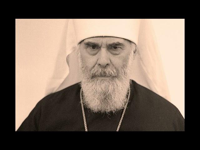 Николай Подосокорский. Богословие Ф.М. Достоевского в восприятии митрополита Антония Сурожского
