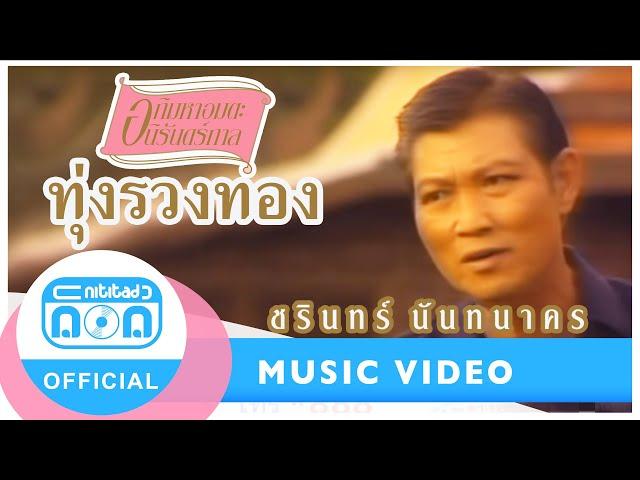 ทุ่งรวงทอง - ชรินทร์ นันทนาคร [Official Music Video]