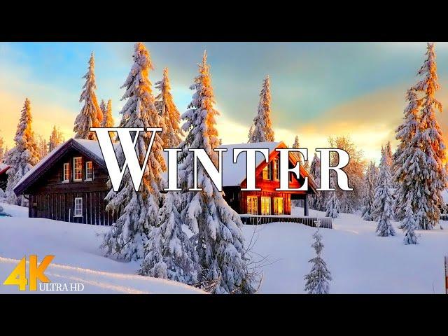 Winter 4K Ultra HD • Stunning Footage Snow Winter, Scenic Relaxation Film with Calming Music.