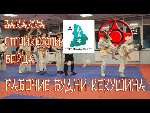 Тренировка стойкости бойца кекусинкай. Training resistance and endurance of Kyokushin.